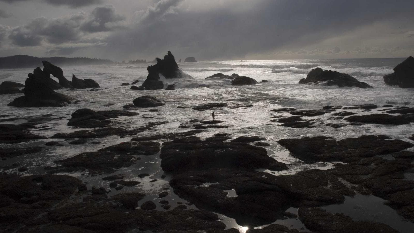 Blog post: Digital Detox 2025: How Unplugging Improves Sleep, Mood, and Focus